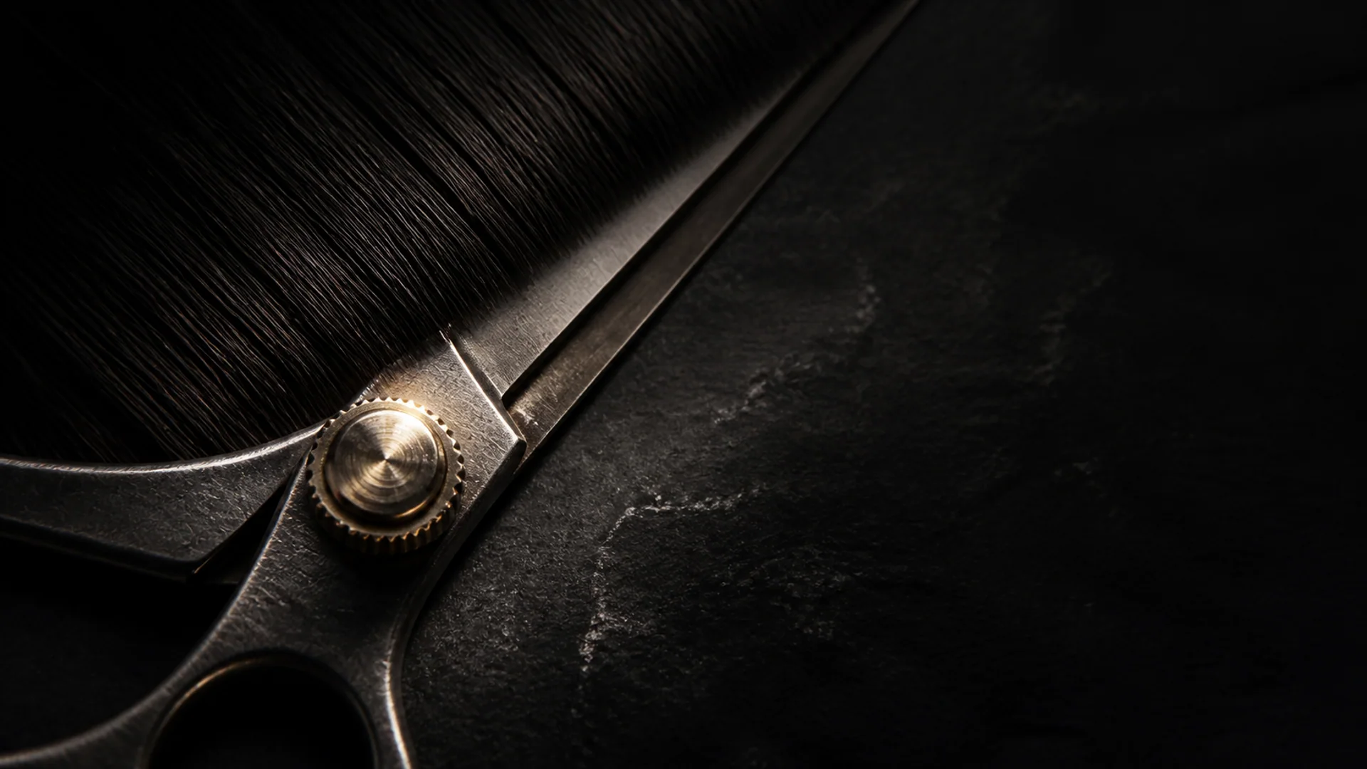 Groomed to proportion campaign still life